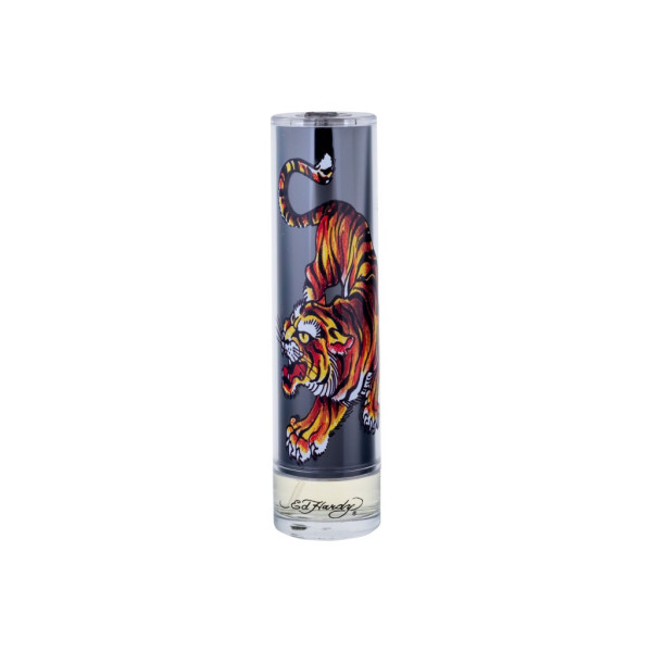 Christian Audigier Ed Hardy Men´s EDT tualetinis vanduo vyrams, 100 ml