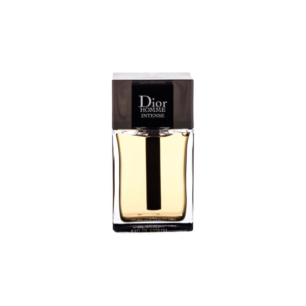 Christian Dior Dior Homme Intense 2020 EDP parfumuotas vanduo vyrams, 100 ml