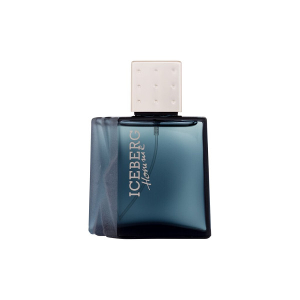 Iceberg Homme EDT tualetinis vanduo vyrams, 50 ml