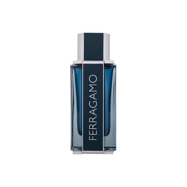 Salvatore Ferragamo Ferragamo Intense Leather EDP parfumuotas vanduo vyrams, 100 ml