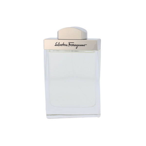 Salvatore Ferragamo Pour Homme EDT tualetinis vanduo vyrams, 100 ml