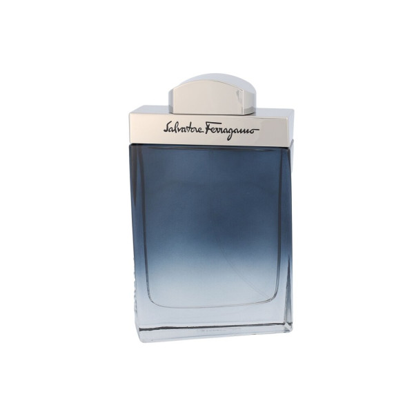 Salvatore Ferragamo Subtil Pour Homme EDT tualetinis vanduo vyrams, 100 ml