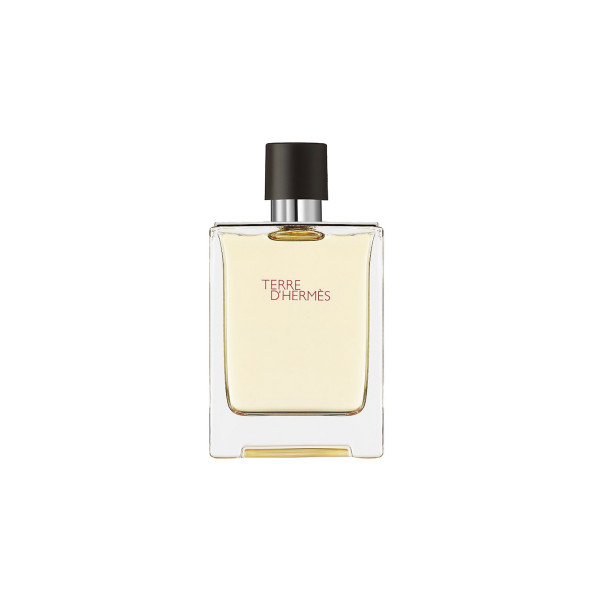 Hermes Terre D'hermes EDT tualetinis vanduo unisex, 100 ml