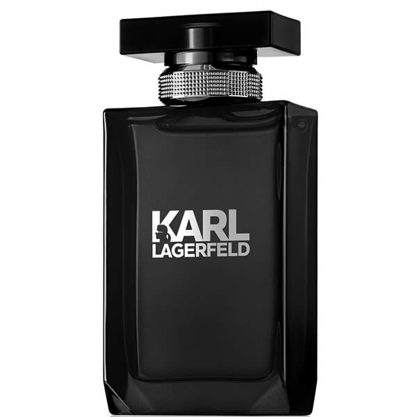 Karl Lagerfeld Pour Homme EDT tualetinis vanduo vyrams, 100 ml