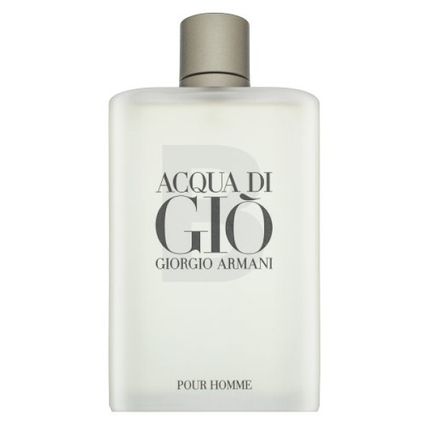 Giorgio Armani Acqua di Gio Pour Homme EDT tualetinis vanduo vyrams, 300 ml