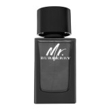 Burberry Mr. Burberry EDP parfumuotas vanduo vyrams, 100 ml