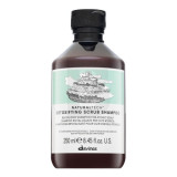 Davines Natural Tech Detoxifying Scrub Shampoo detoksikuojantis šampūnas su pilingu, 250 ml