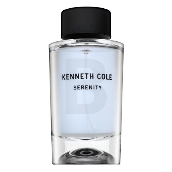 Kenneth Cole Serenity EDT tualetinis vanduo vyrams, 100 ml