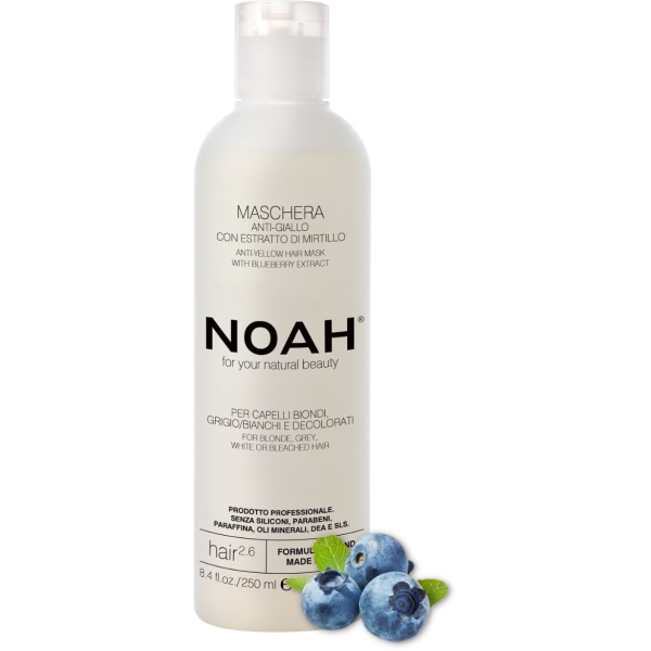 Noah 2.6. Anti-Yellow Hair Mask Geltonus tonus neutralizuojanti plaukų kaukė, 250 ml