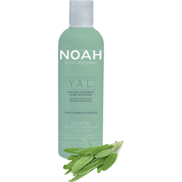 Noah YAL Hydrating And Restorative Treatment Shampoo Atkuriamasis drėkinantis šampūnas su hialurono rūgštimi ir šalaviju, 250 ml 