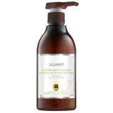 Plaukų šampūnas Saryna KEY Anti-Dandruff Shampoo For All Hair Types, visų tipų plaukams, nuo pleiskanų, 500 ml