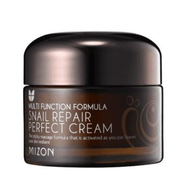 Veido kremas Mizon Snail Repair Perfect Cream, su sraigių mucinu, atstatantis veido odą, 50 ml