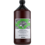 Davines Natural Tech Renewing Shampoo atnaujinantis šampūnas, 1000 ml