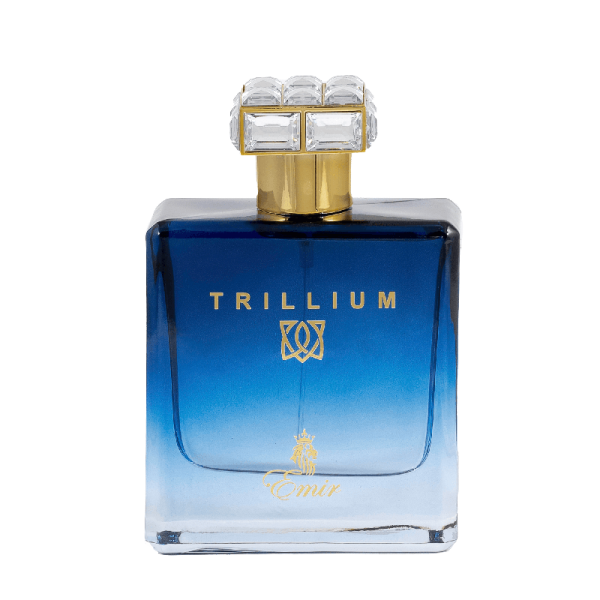 Emir Trillium EDP parfumuotas vanduo vyrams, 100 ml