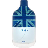 Fcuk Rebel EDT tualetinis vanduo vyrams, 100 ml