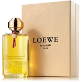 Loewe Tras La Tormenta Jardin Botanico EDP parfumuotas vanduo unisex, 100 ml