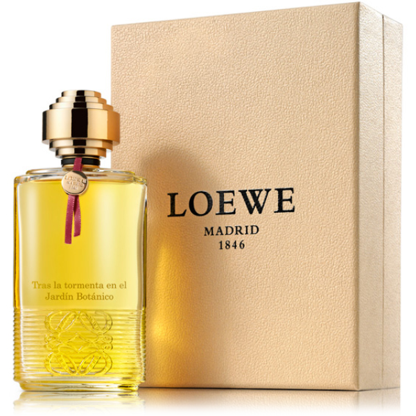 Loewe Tras La Tormenta Jardin Botanico EDP parfumuotas vanduo unisex, 100 ml