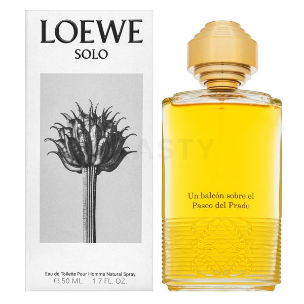 Loewe Un Balcón Sobre El Paseo Del Prado EDP parfumuotas vanduo unisex, 100 ml