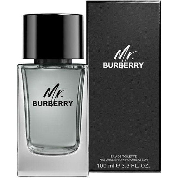 Mr Burberry EDT tualetinis vanduo unisex, 100 ml