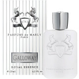 Parfums de Marly Galloway EDP parfumuotas vanduo unisex, 125 ml