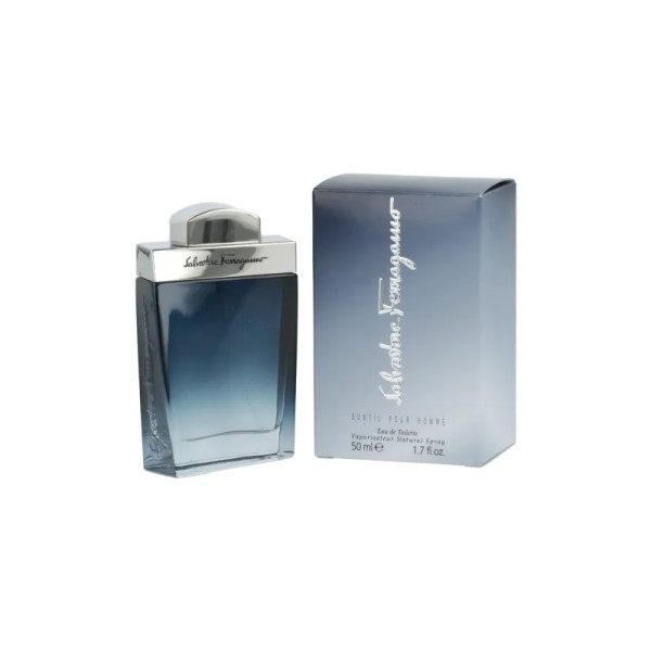 Salvatore Ferragamo Subtil Pour Homme EDT tualetinis vanduo vyrams, 50 ml