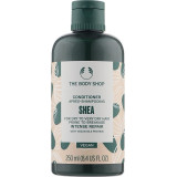 The Body Shop Shea Conditioner sviestmedžių atkuriamasis plaukų balzamas, 250 ml