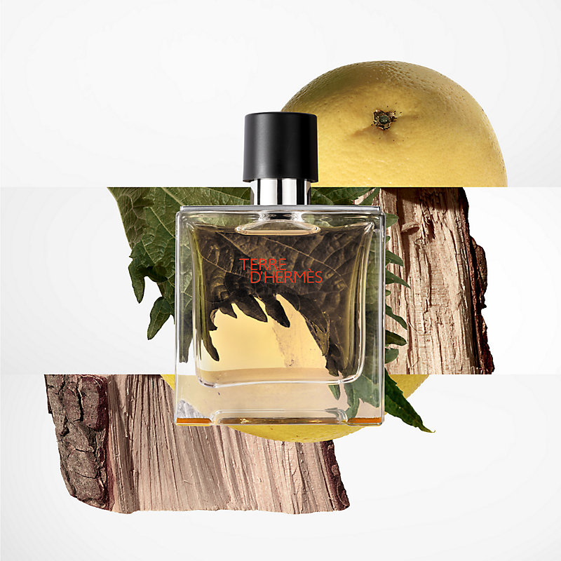 View: Worn, Terre d'Hermes Parfum